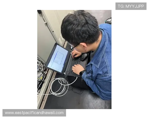 米兰官网下载流程详解，确保每一步操作都安全顺利完成