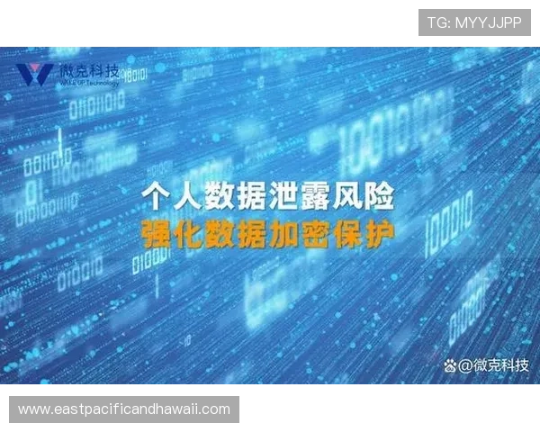 全面解析9博app的安全性与隐私保护措施保障用户游戏体验
