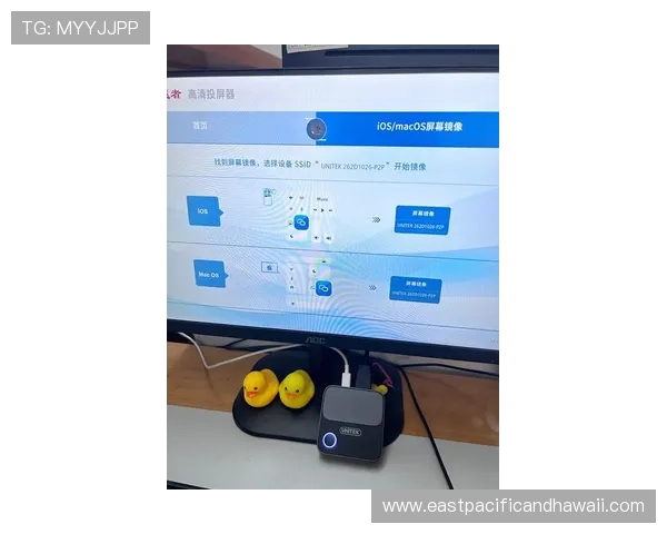 乐视体育余快如何优化观看体验提升直播流畅度的实用技巧